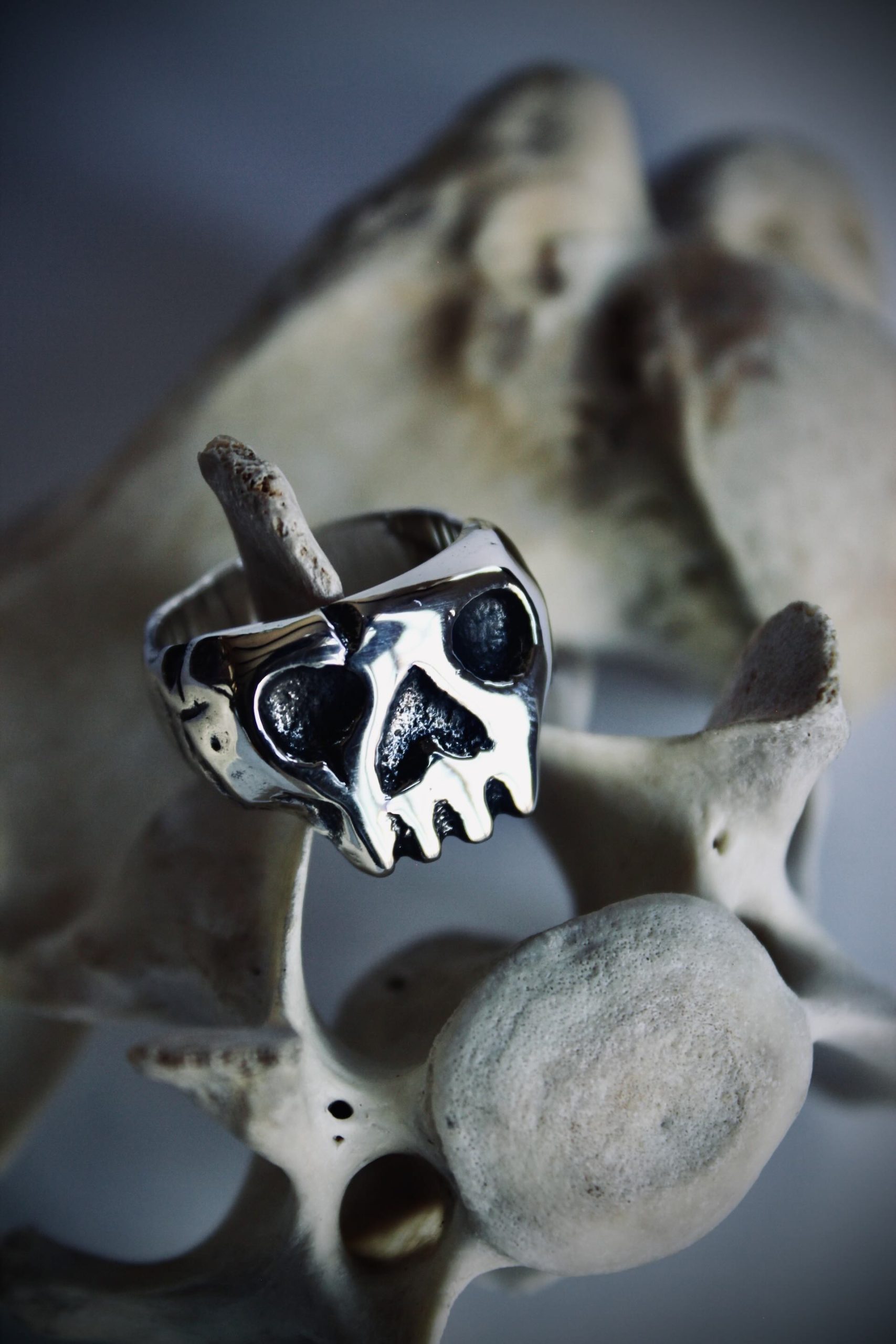 The "Skull" Ring - Sterling Silver - Image 3